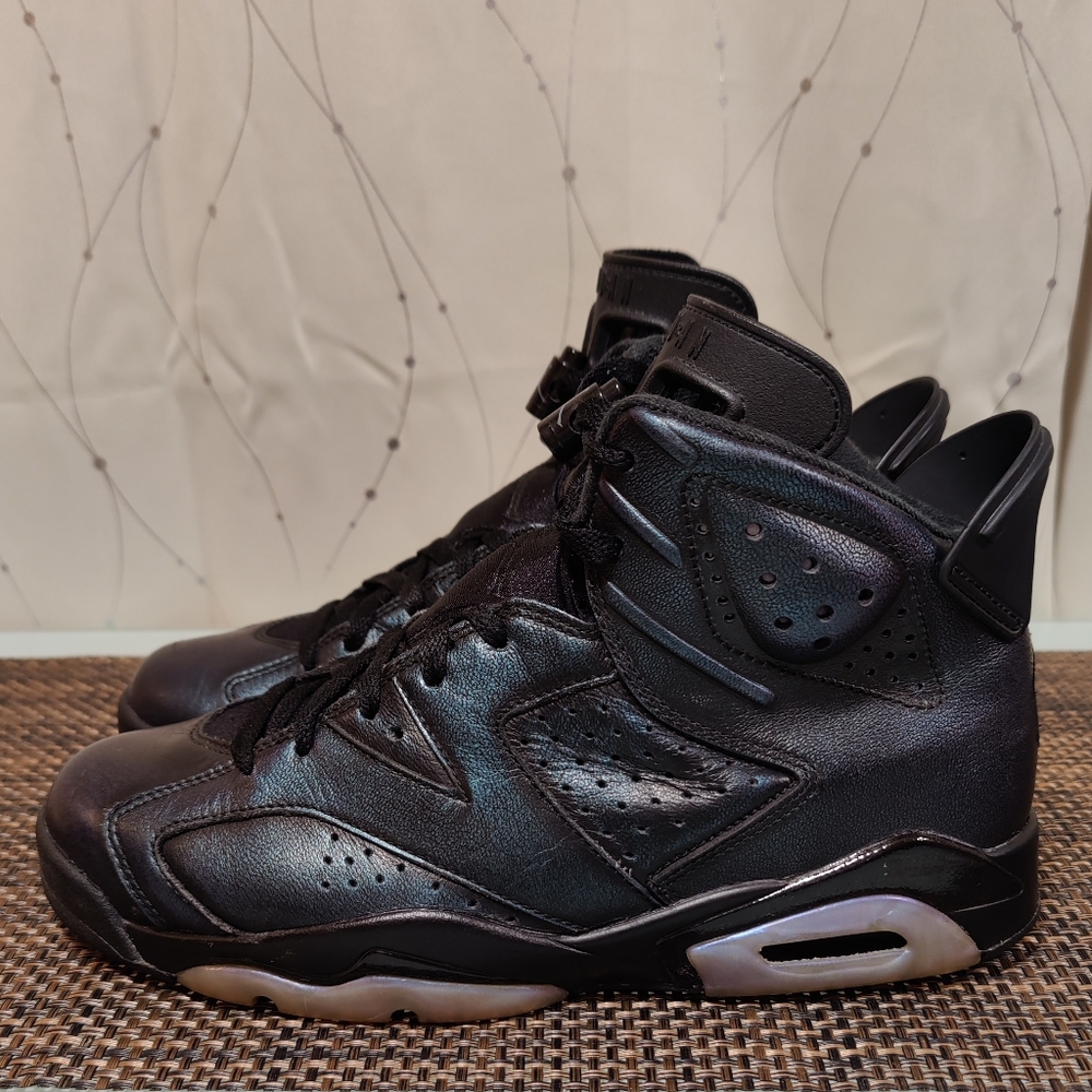 Jordan 6 All-Star Chameleon